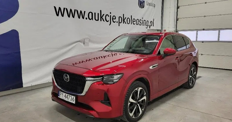 mazda mazowieckie Mazda CX-60 cena 210000 przebieg: 16303, rok produkcji 2022 z Praszka